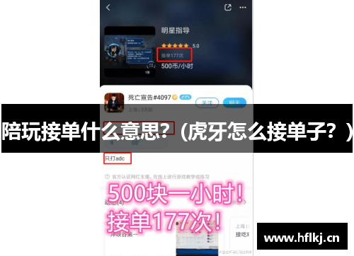 陪玩接单什么意思？(虎牙怎么接单子？)